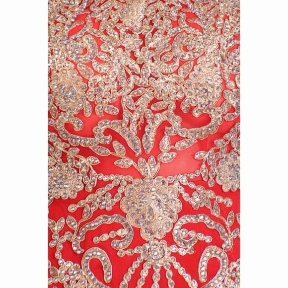 1572 Pink or Purple or Red Gold Lace Dress - Picture 14 of 14